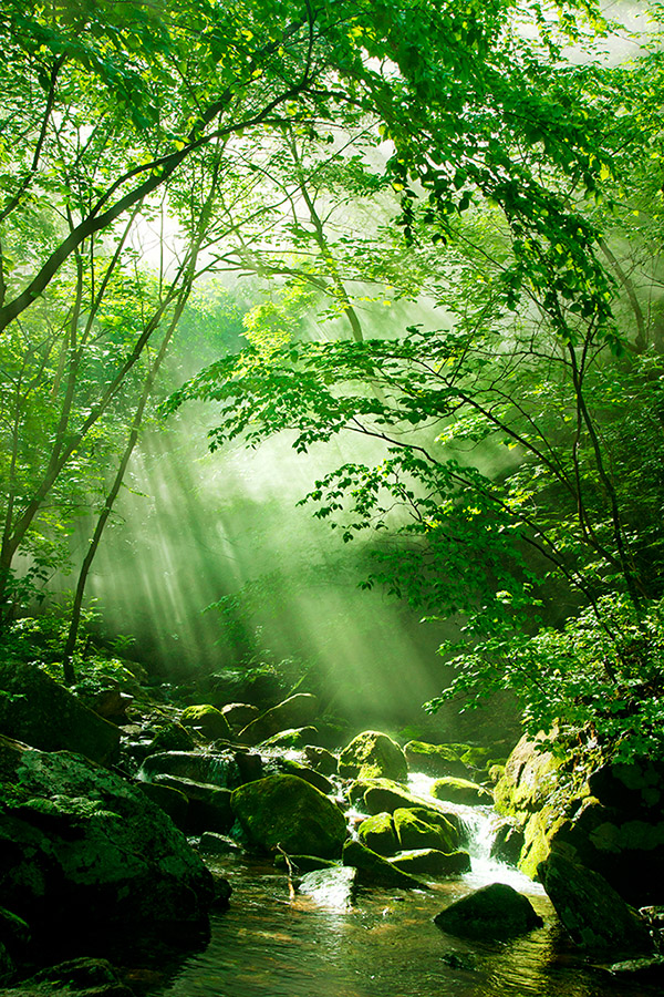 本溪水洞风景区 - 风光景物 - 大众摄影网