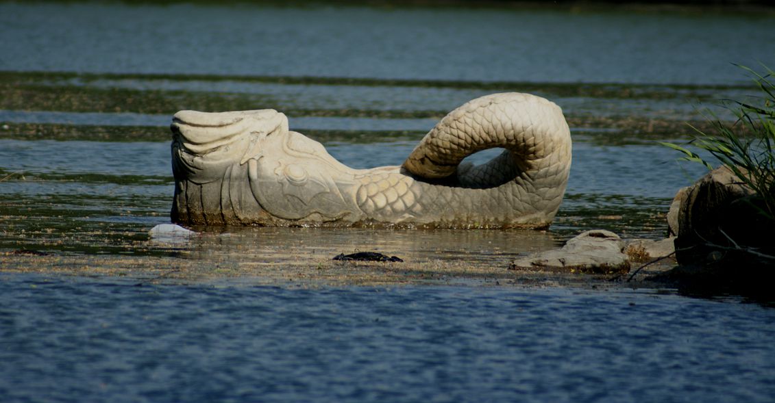 北大未名湖和翻尾石鱼