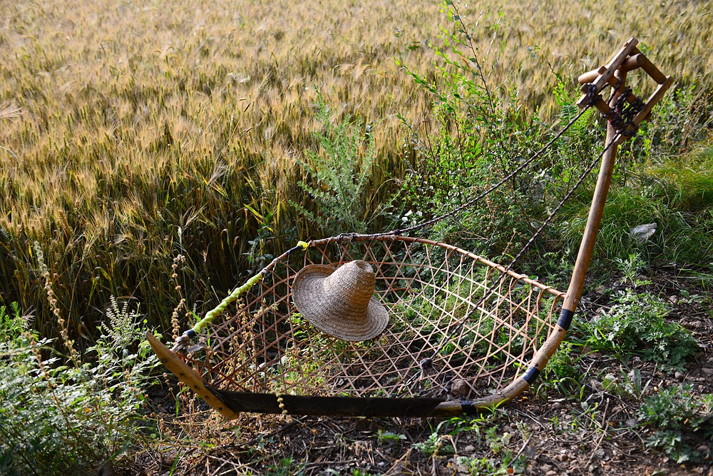 【即将消失的割麦工具——"掠子"】
