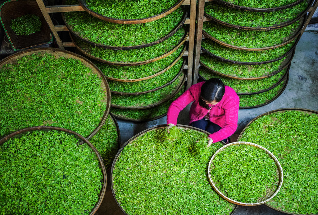 2015年全国俱乐部联赛8月份投稿区