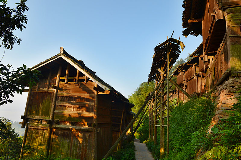 走进芭沙苗族村寨-《大众摄影》俱乐部团体会员——贵州论坛俱乐部(1