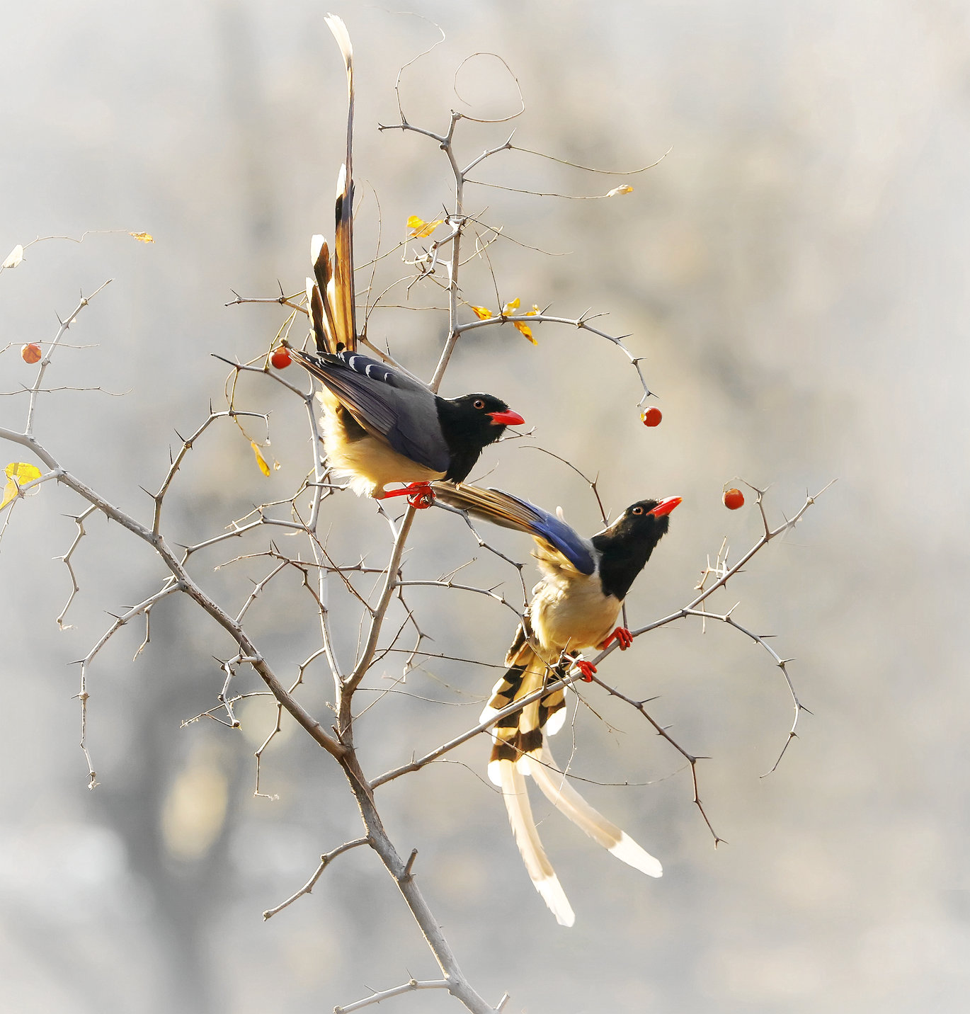 我的相册 - 大众摄影网