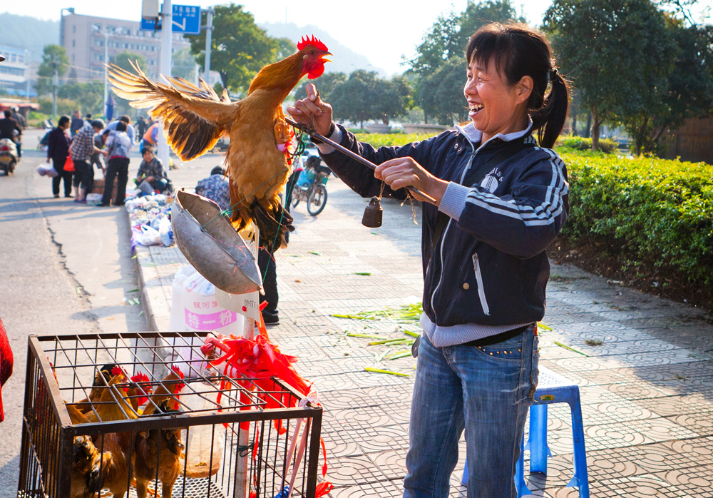 喜-浙江仙居-肖芽儿-集市鸡摊生意来了,鸡惊了,摊主喜了-胡小明