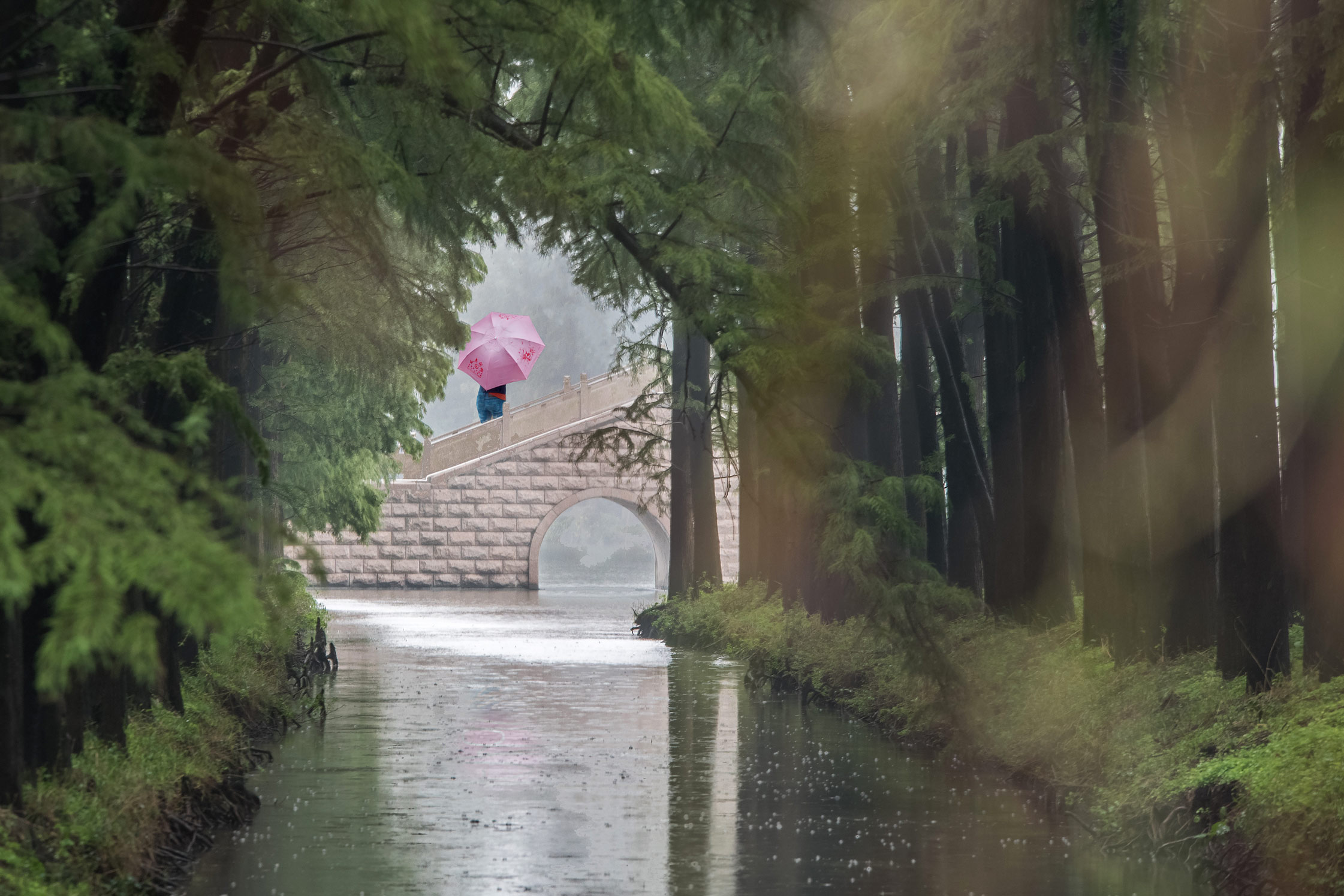 林中听雨