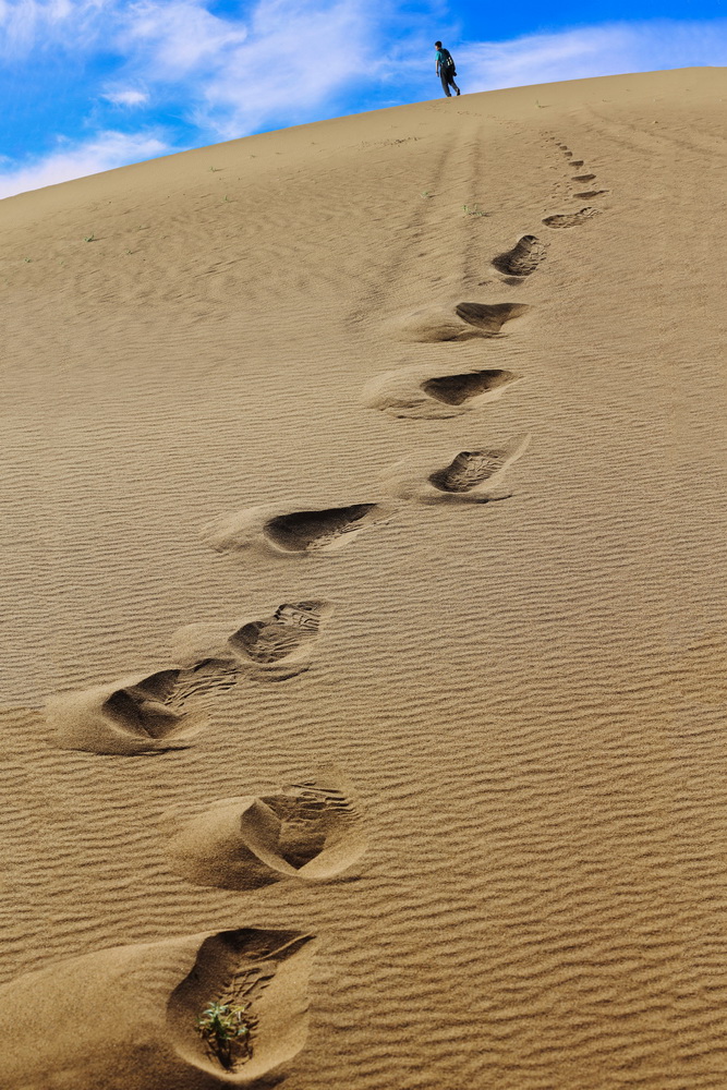 跋涉者的脚印 拍摄地点:宁夏腾格里沙漠 湖北荆州钟思平 13797273668.