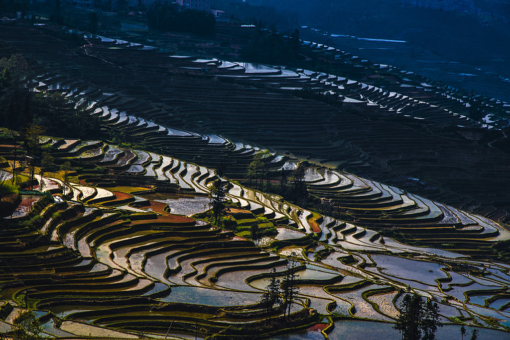 4月主题:美丽乡村:《梯田变奏曲》·黄文明(福建安溪)·使用尼康相机