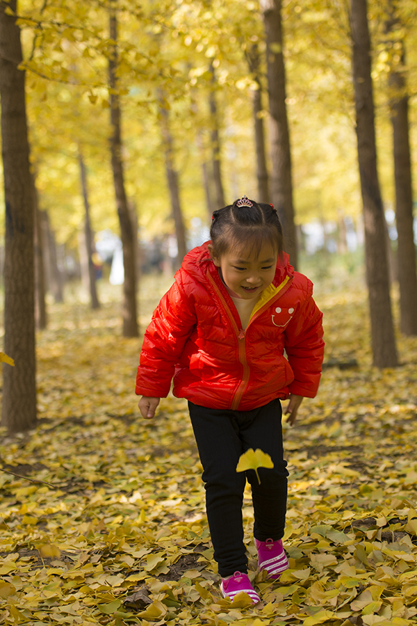银杏林里的小女孩-《大众摄影》俱乐部团体会员——山东论坛俱乐部