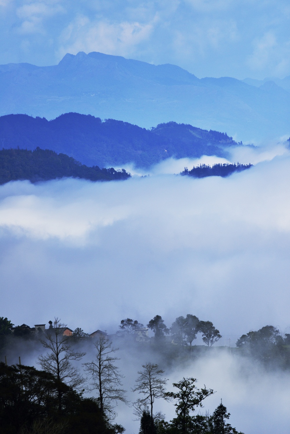 白云深处是我家