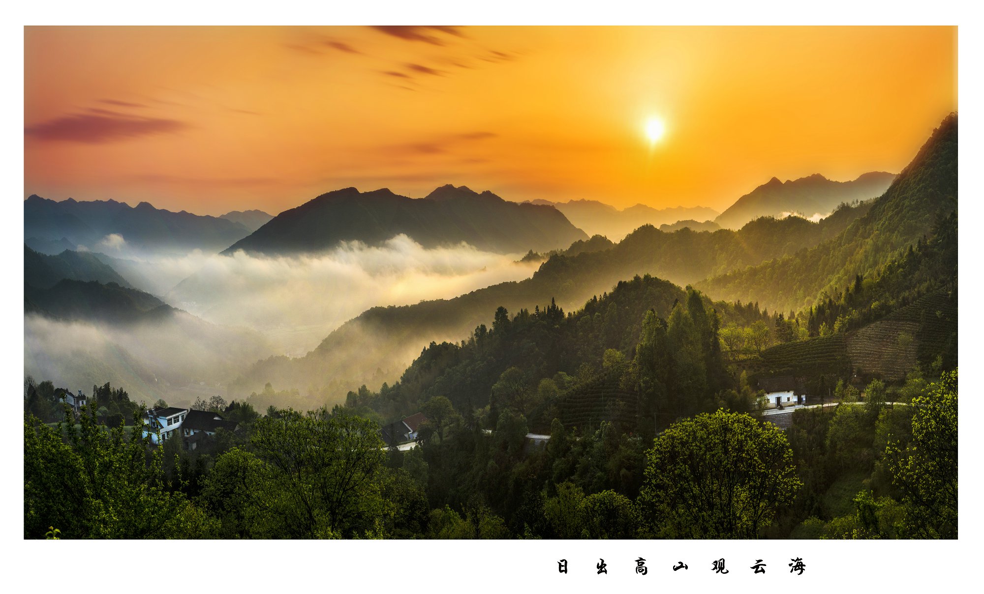 日出高山观云海