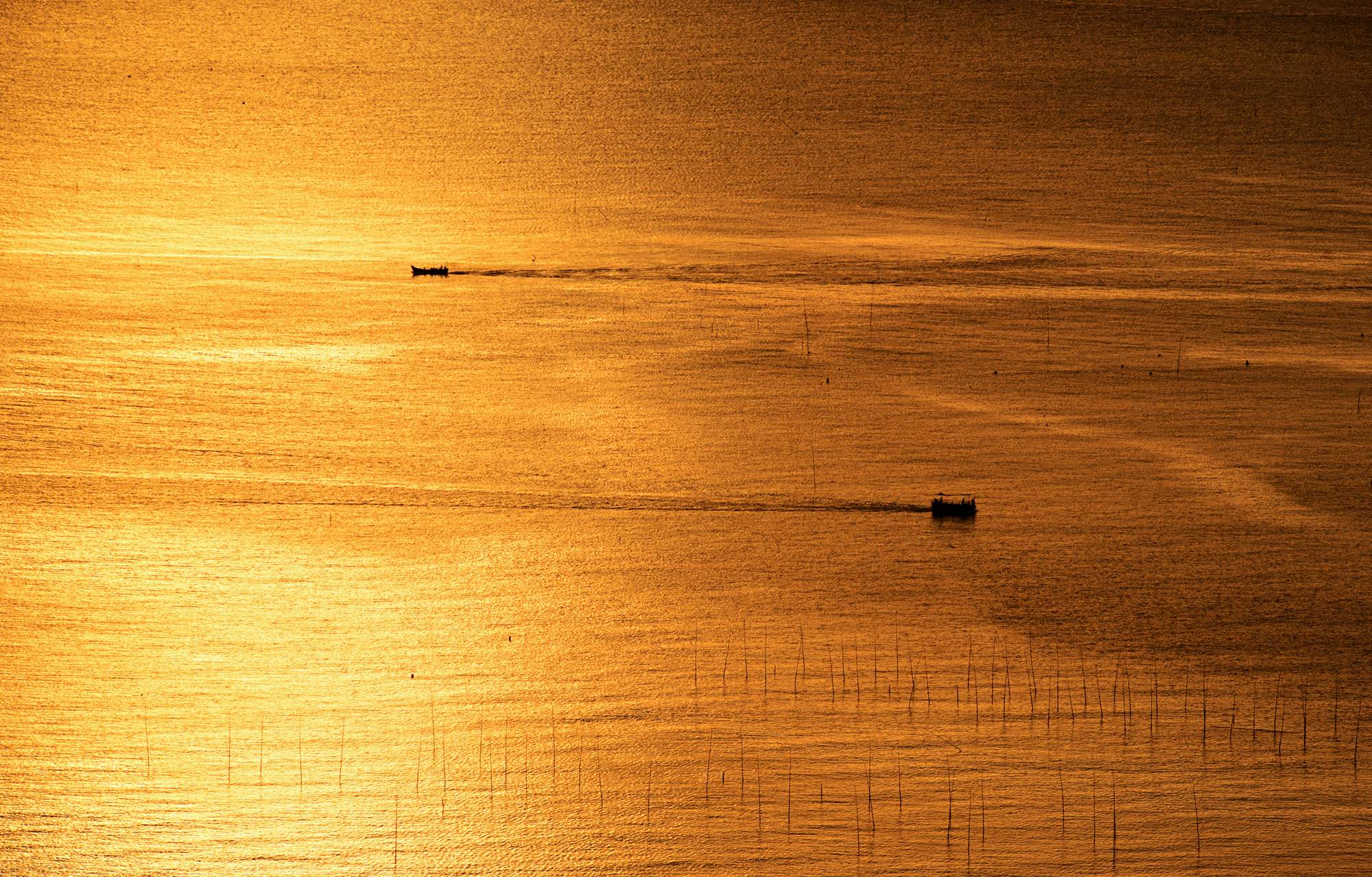 金色海洋-《大众摄影》俱乐部团体会员——汕头影友俱乐部(3星)-大众