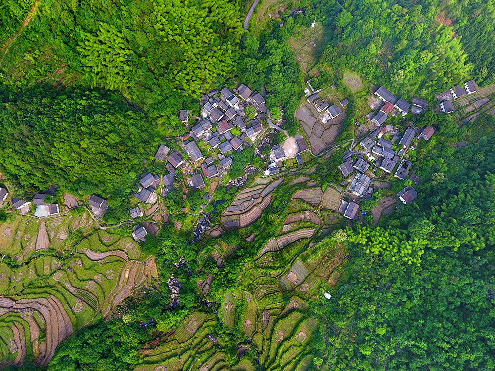 绿色中的白石村