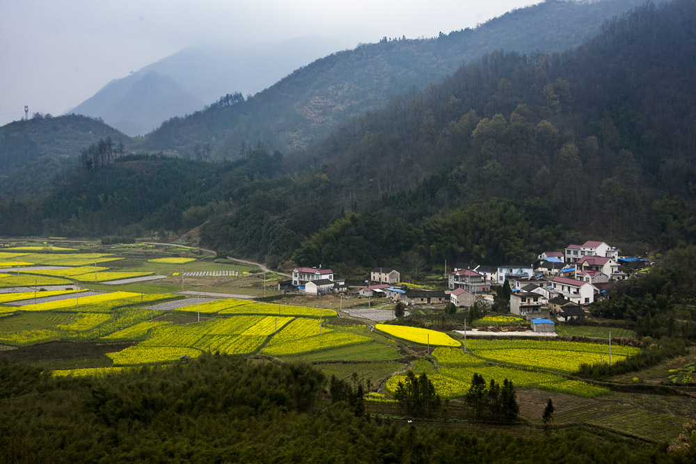 (组照)《谁不说咱家乡美》1七都镇高路亭村 (7).jpg