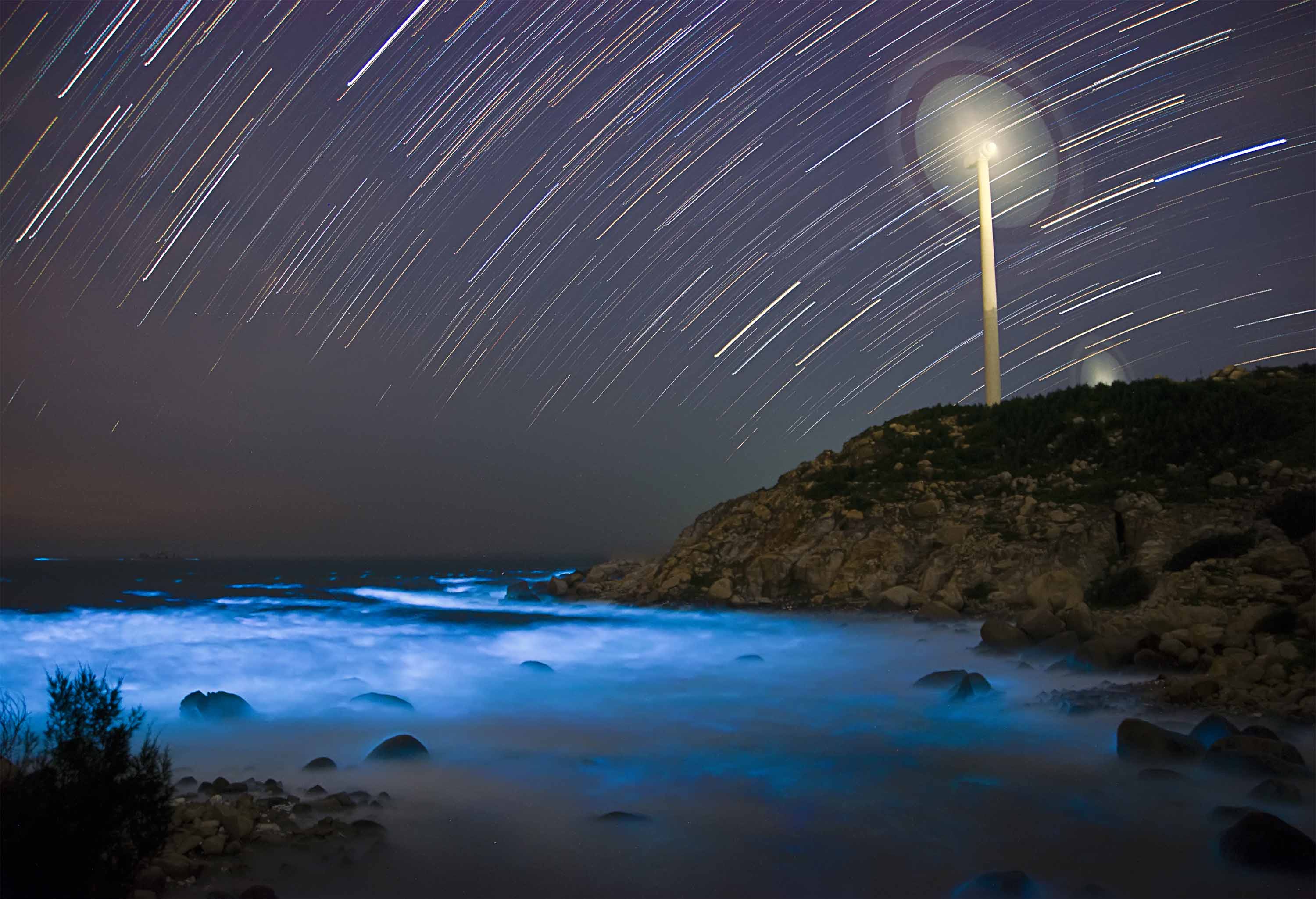 荧光海星空