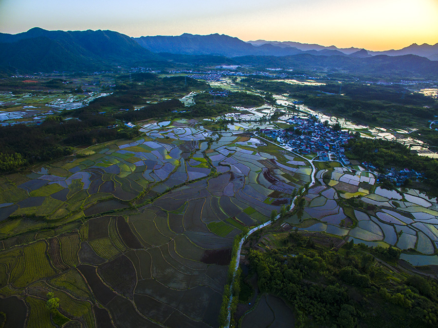 组照《大地艺术》(上章村)2017.5.13
