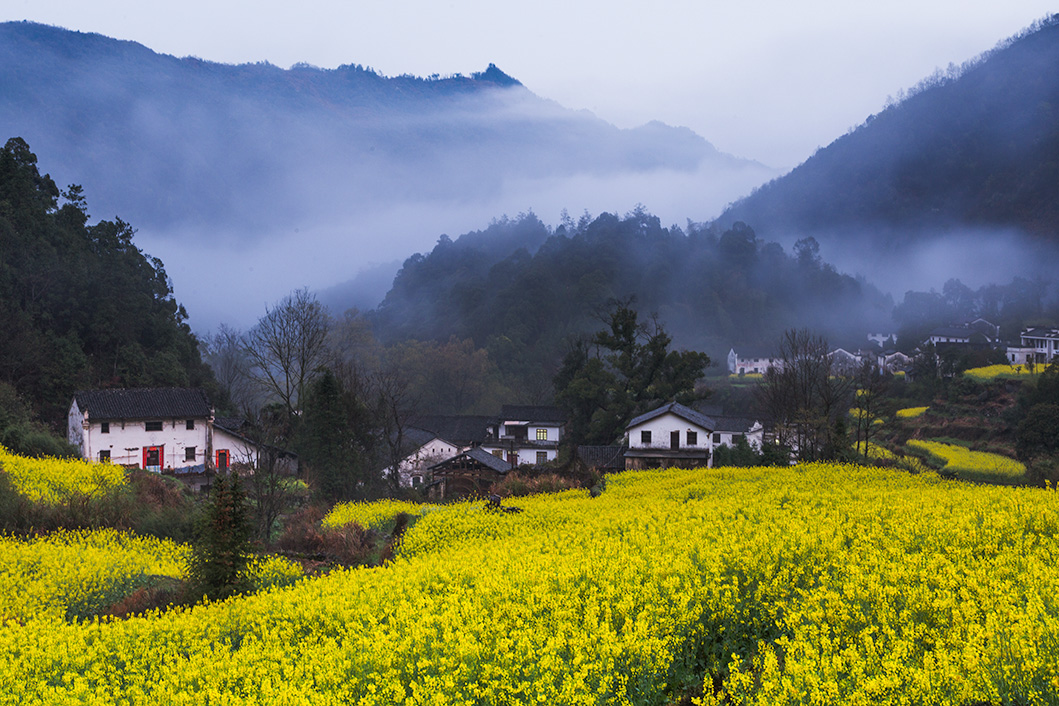 画里山村 2017年4月摄于石台县白石岭
