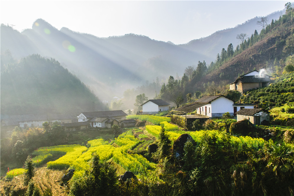 标题:山村的早晨 拍摄时间:2017.3 拍摄地点:石台高山