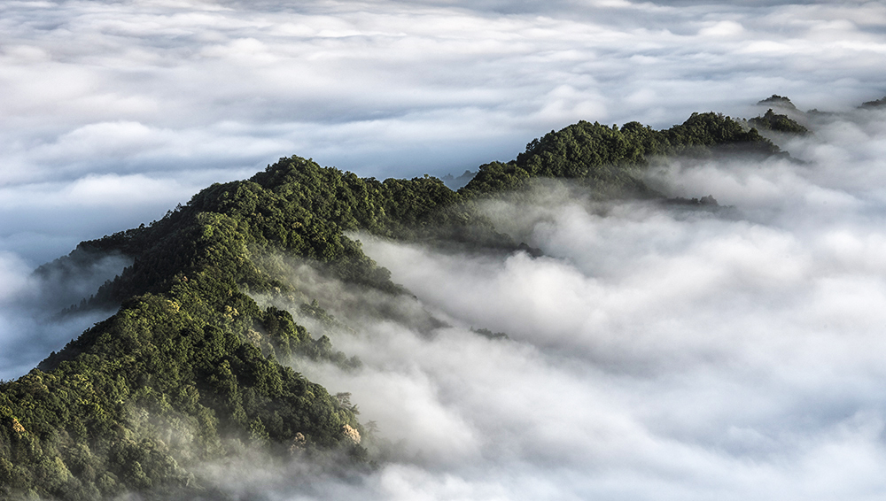 山雾环抱仙寓山