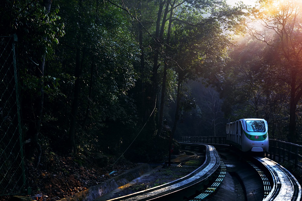 森林里的小火车-第三届"福能杯·能源与环境"全国摄影大展投稿区-大众