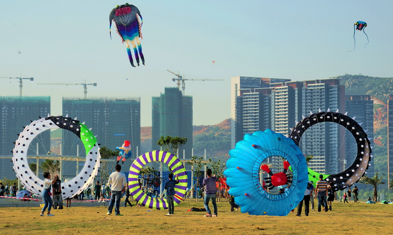 《双鱼岛-风筝节》组04-"魅力厦门湾 多彩漳州港"全国摄影大展投稿区