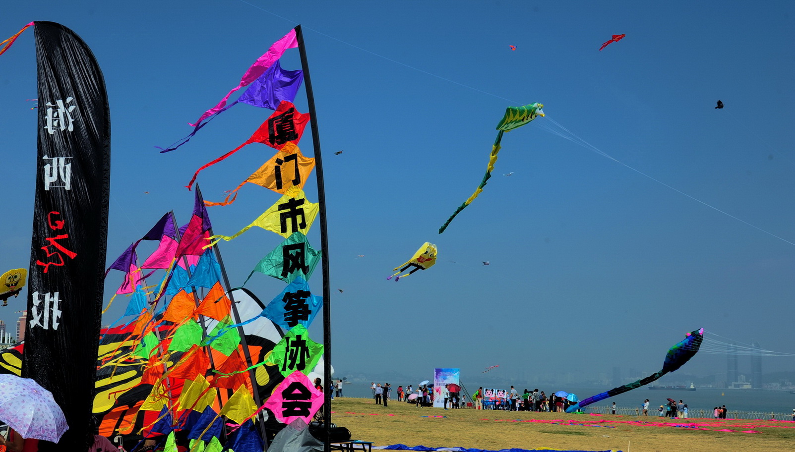 《开发区-风筝节》组01-"魅力厦门湾 多彩漳州港"全国摄影大展投稿区