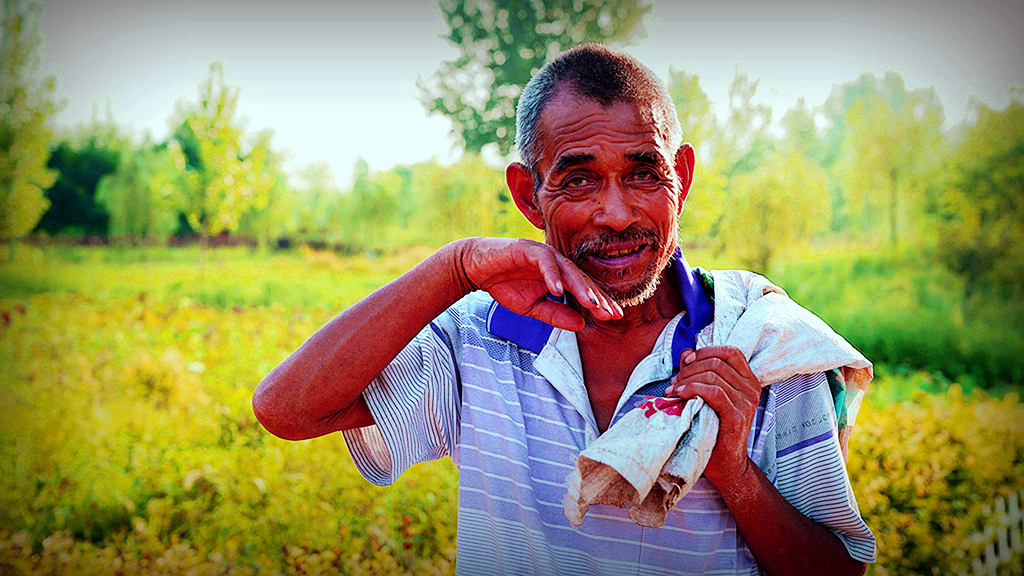 关中,我的父老乡亲