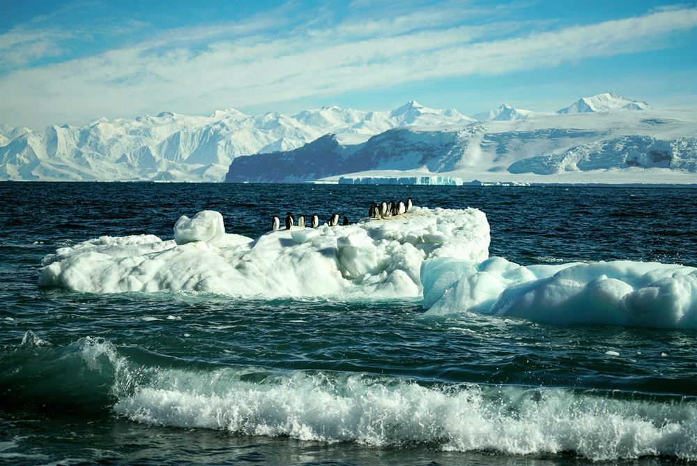 南极罗斯海风光荟萃