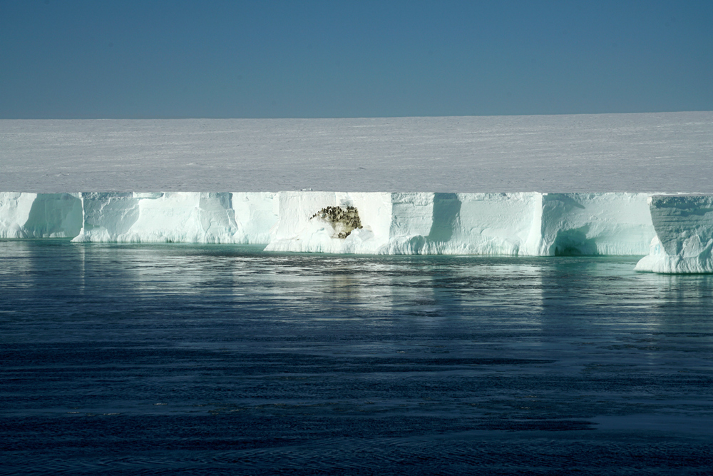 南极罗斯海风光荟萃
