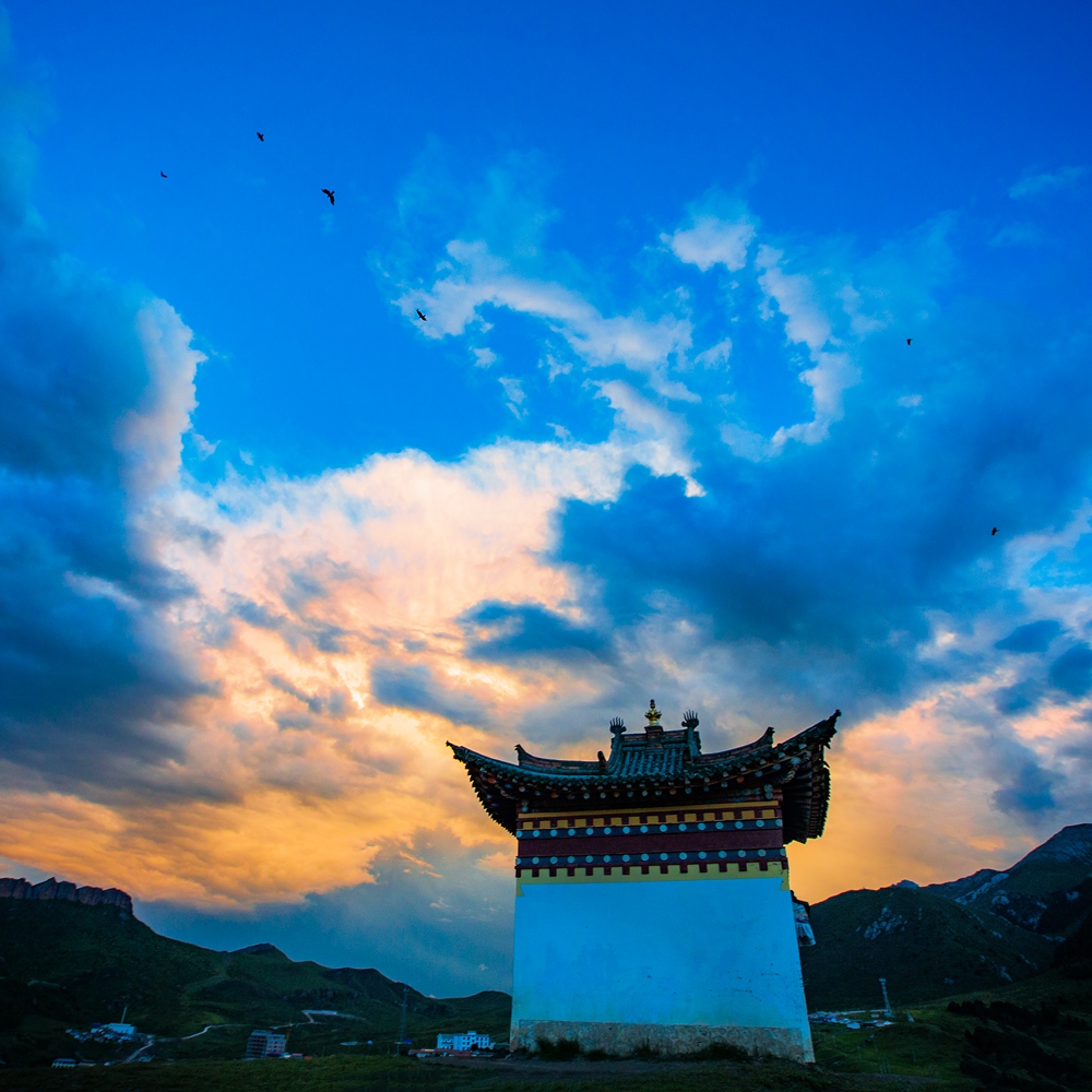 【印象藏文化】2017年7月12日甘南藏族自治州碌曲县郎木寺镇 (266)r.