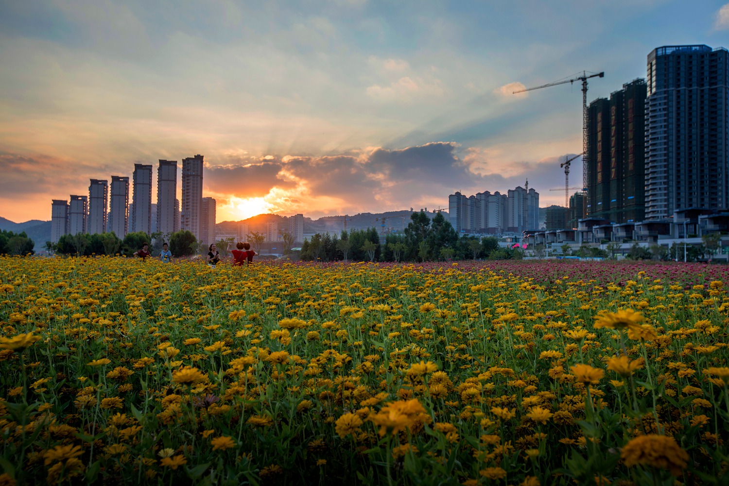 休闲双鱼岛 (1-4)-"魅力厦门湾 多彩漳州港"全国摄影大展投稿区-大众