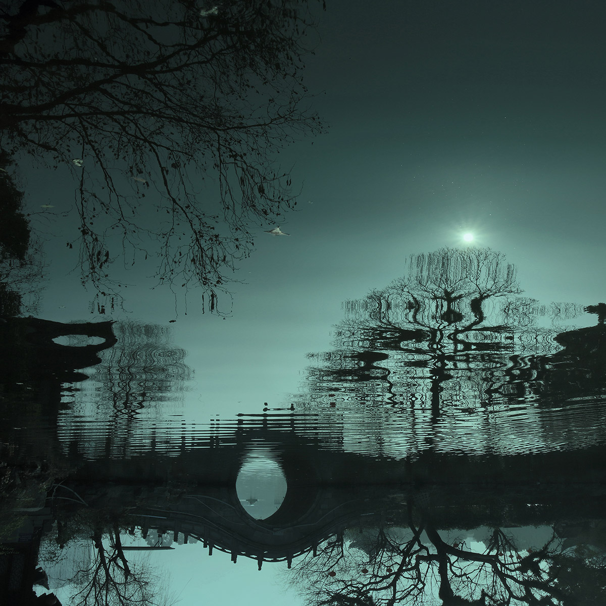 月色迷醉-第四届"中国园林"摄影大展投稿区-大众摄影网