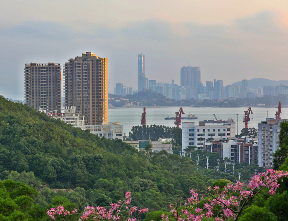 漳州港-"魅力厦门湾 多彩漳州港"全国摄影大展投稿区-大众摄影网