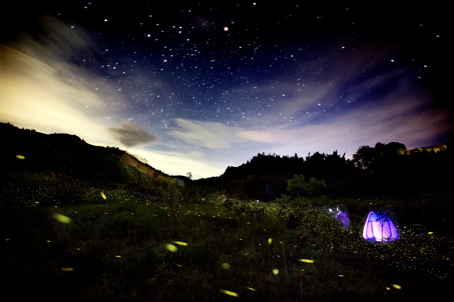 萤火虫之夜