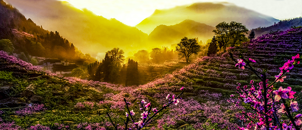 作品名称:醉美桃花村