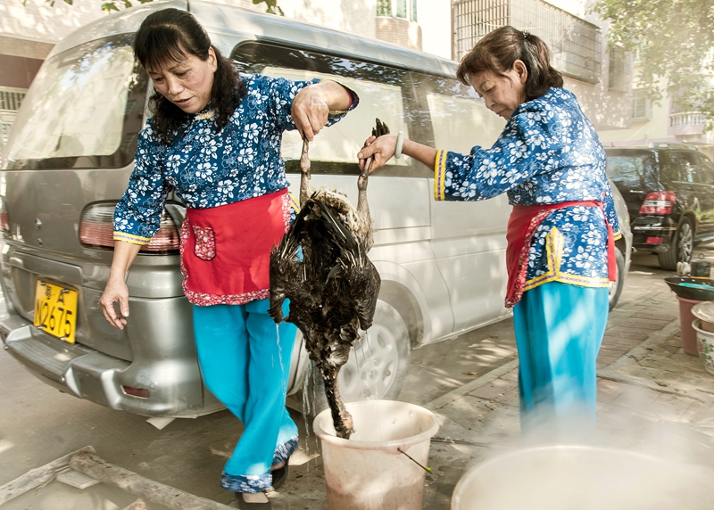 1,有客人来,杀鸡宰鹅是必备的待客上道.