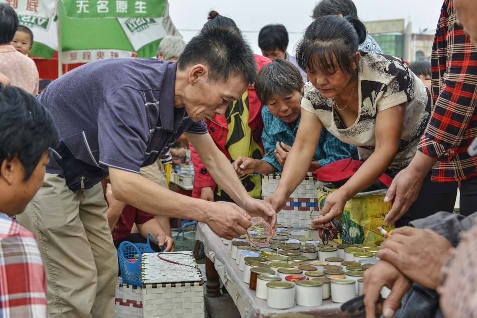 【山东蟋蟀交易市场】