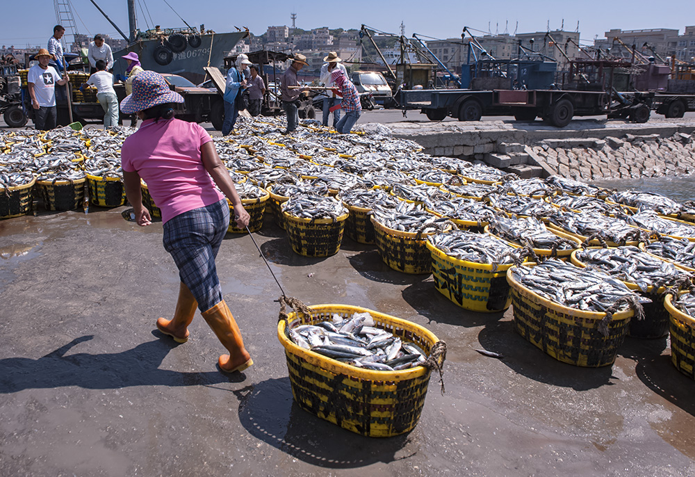 福建省石狮市祥芝中心渔港繁荣景象