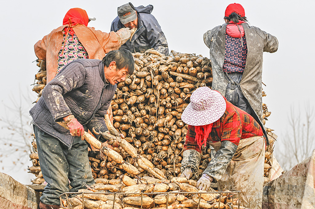 《丰收的喜悦》