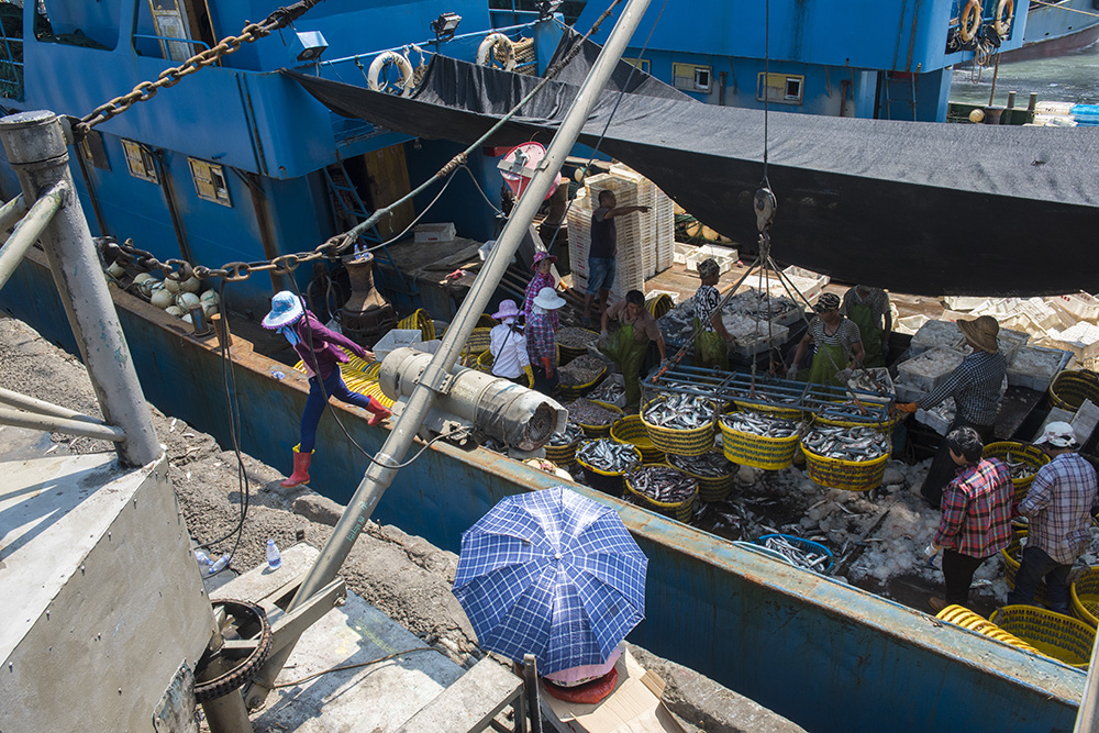 《渔港映像》组照11 太阳下操作吊机的鱼工撑伞把一框框鱼获吊上岸