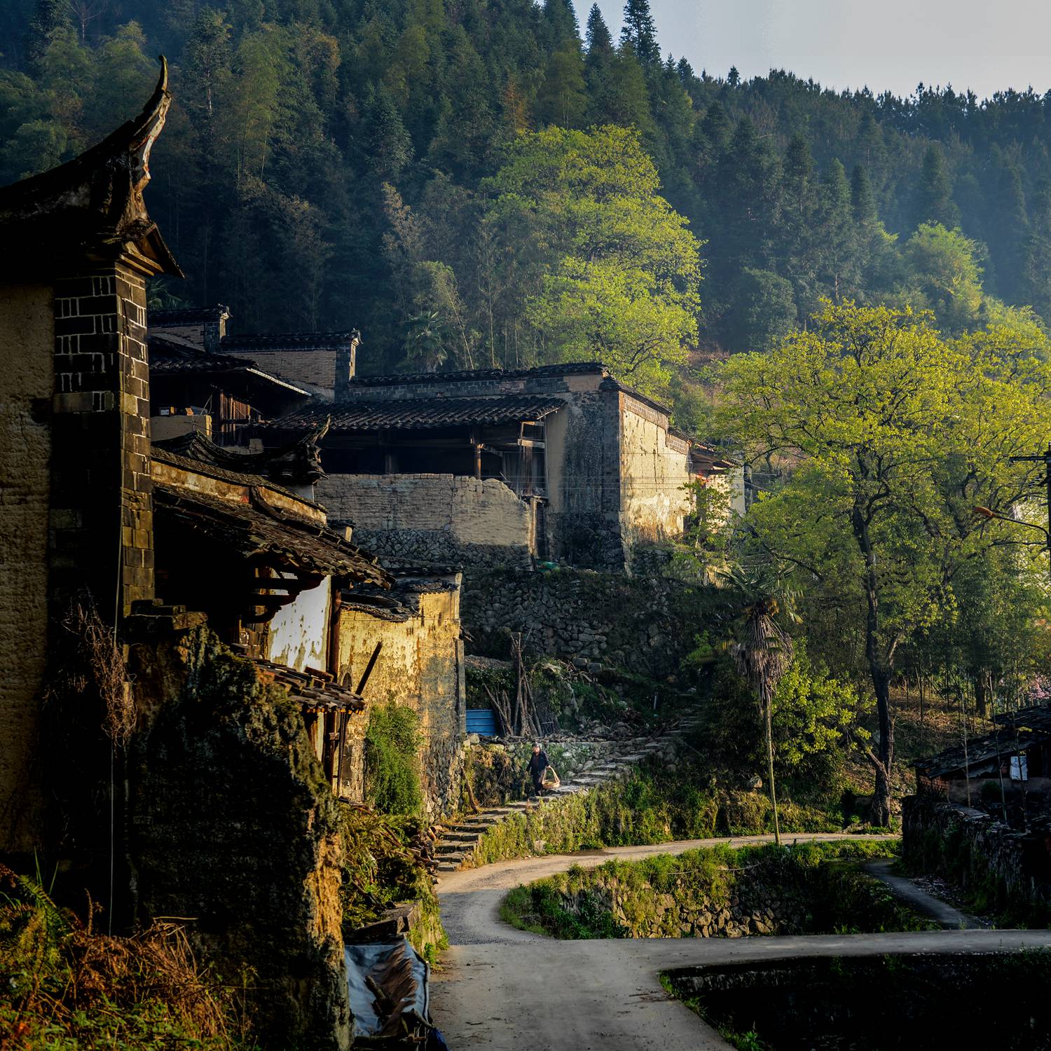 乡村晨韵—— 2017年4月摄于福建古田.jpg