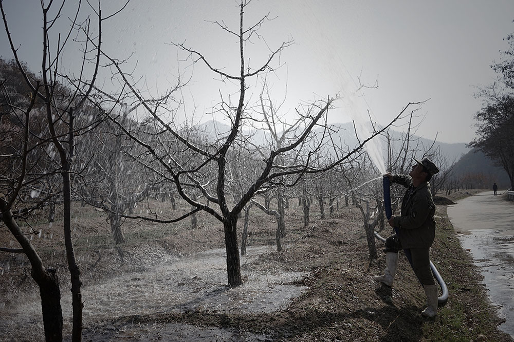 给果园浇水的果农.