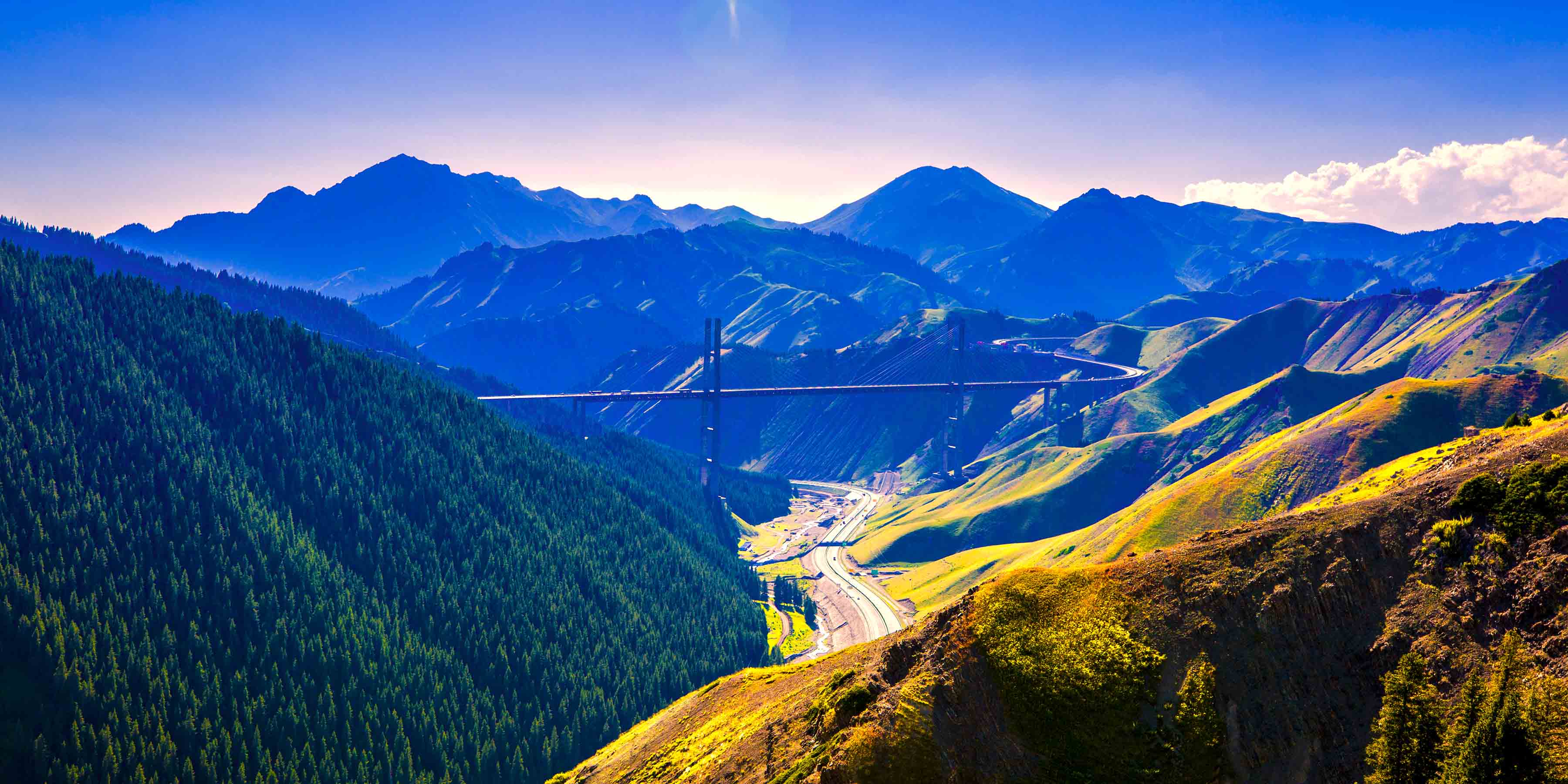 新疆果子沟 张宏伟摄300k.jpg