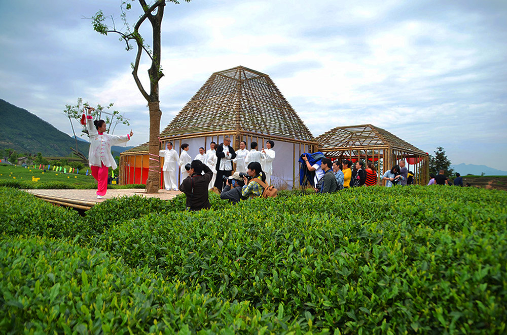 茶园游(组照)
