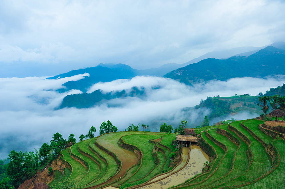 《开秧门》-"摄影小镇——金峰""视界金峰杯"乡土中国全国摄影大展