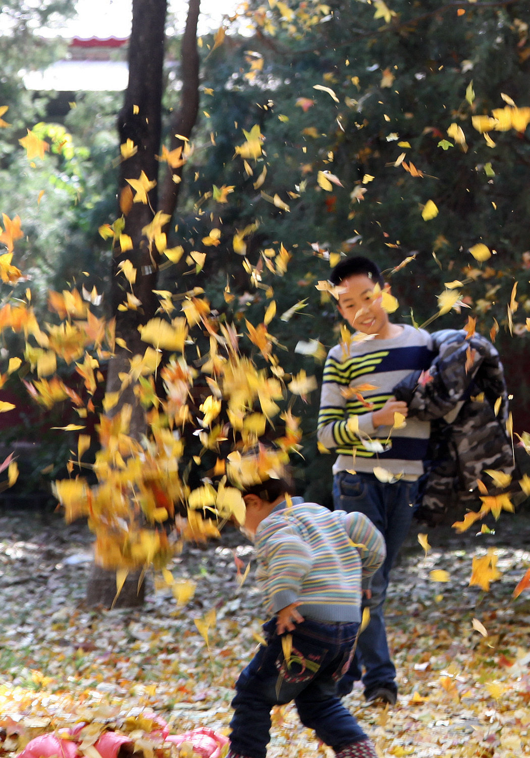 两个小朋友在银杏树下玩耍