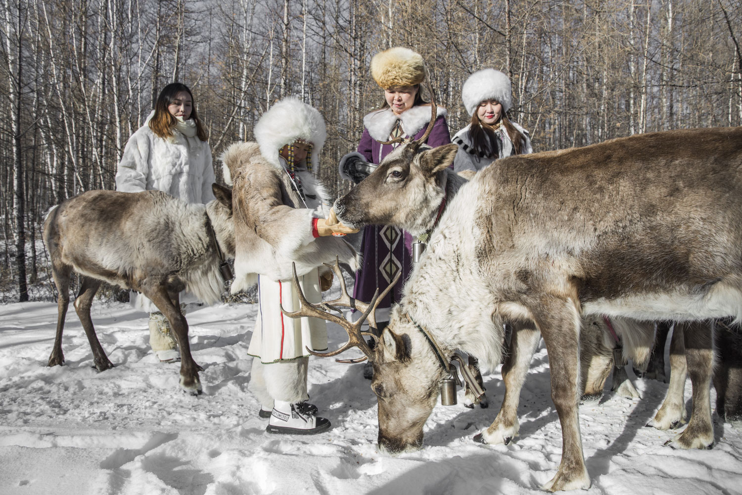 鄂温克族人与驯鹿-"摄影小镇——敖鲁古雅" 暨2017年"四季根河"全国摄