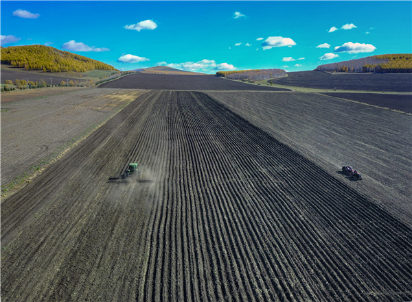 犁开土壤,一边收获,一边播种.