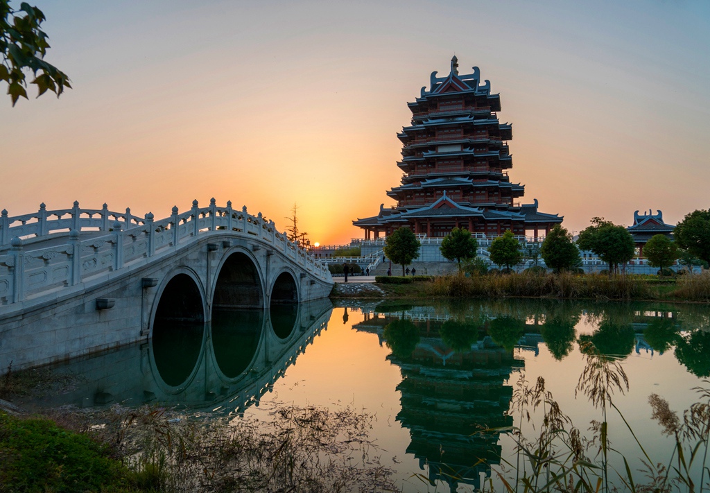 《夕阳西下》2017年11月8日摄于银杏博物园-"一叶一世界"邳州市第四届