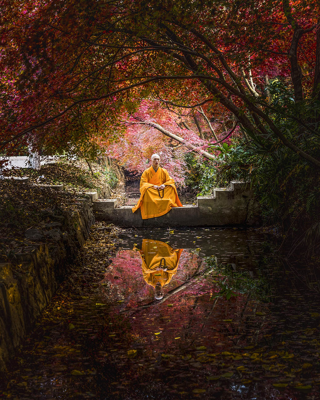 于金鹭 15896170073 深秋,红叶满园,一位僧人盘坐在石头上参悟佛