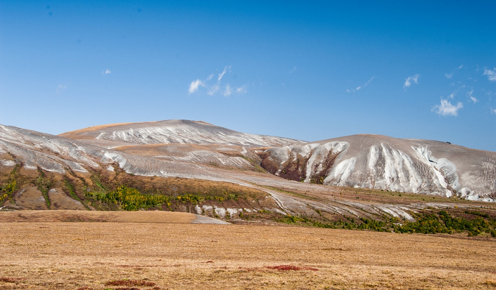 南坡长白山高山苔原地带 (5)