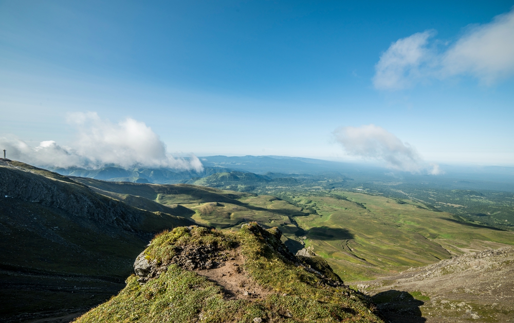 南坡长白山高山苔原地带 (20)